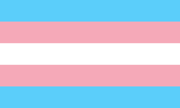 Pink, white, and blue pride flag